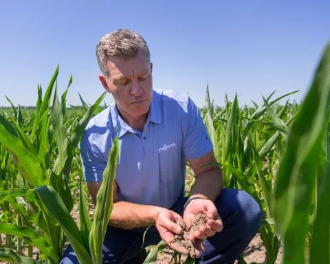 Jeff-Rowe-in-field